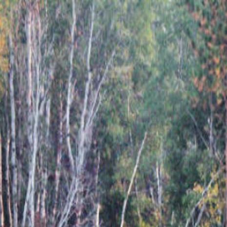 Dropping Water Levels Should Mean Good Fishing Soon On Bitterroot River Local News Ravallirepublic Com