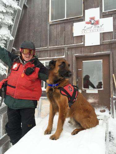 Meet the avalanche dogs who save skiers lives - The Washington Post