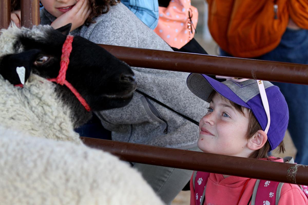 Fourth Grade Farm Fair