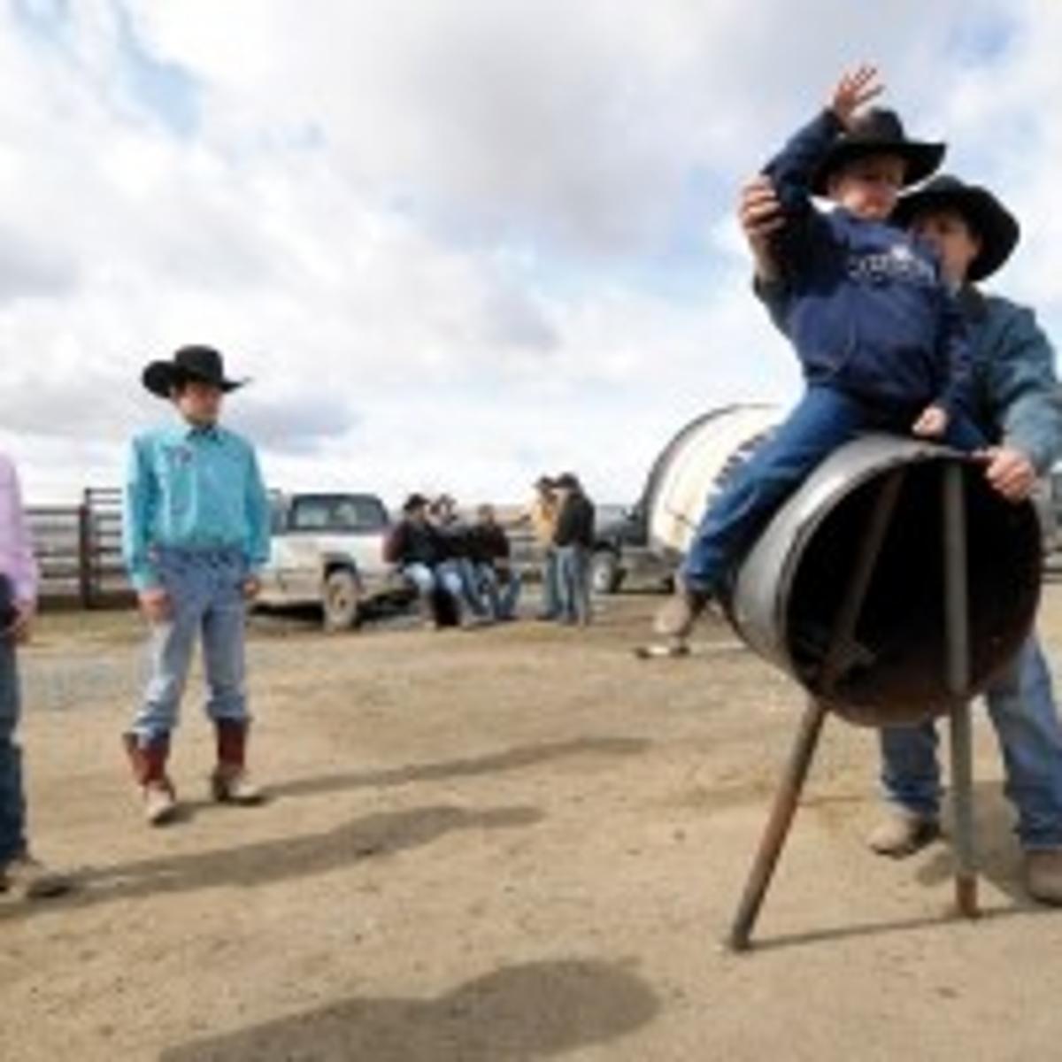 Clinic Miniature Bulls Teach Rodeo Lessons To Kids Lifestyles