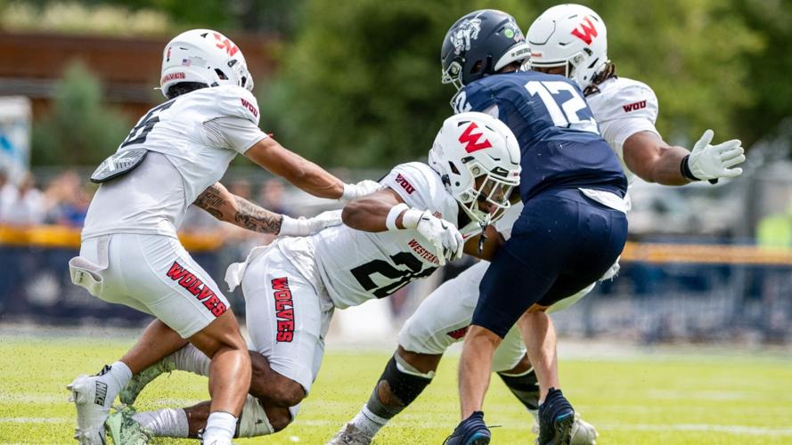 No. 22 Wolves show resilience, gut out 22-20 road win at Mines in opener