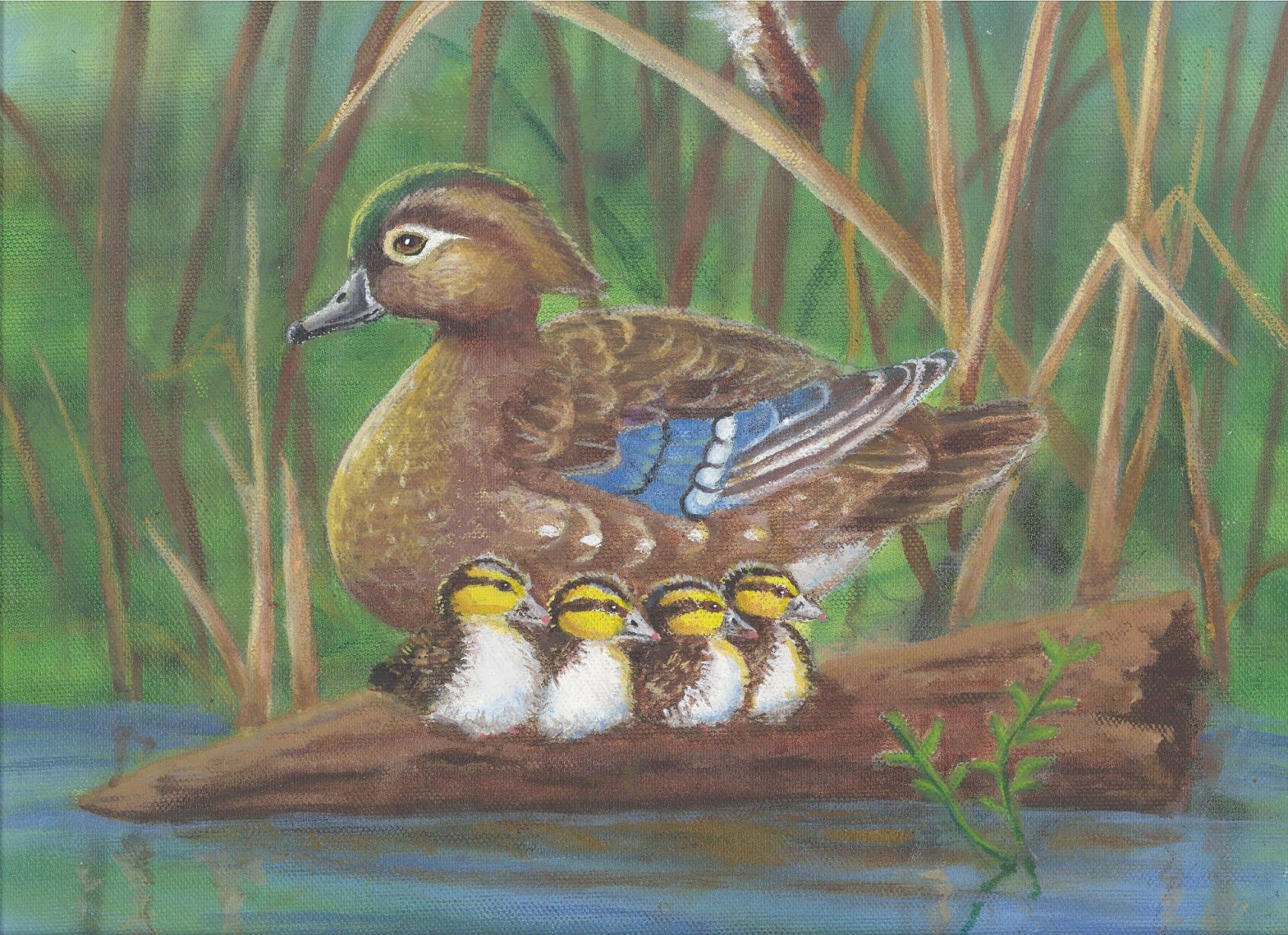 2024 Montana Junior Duck Stamp contest results announced