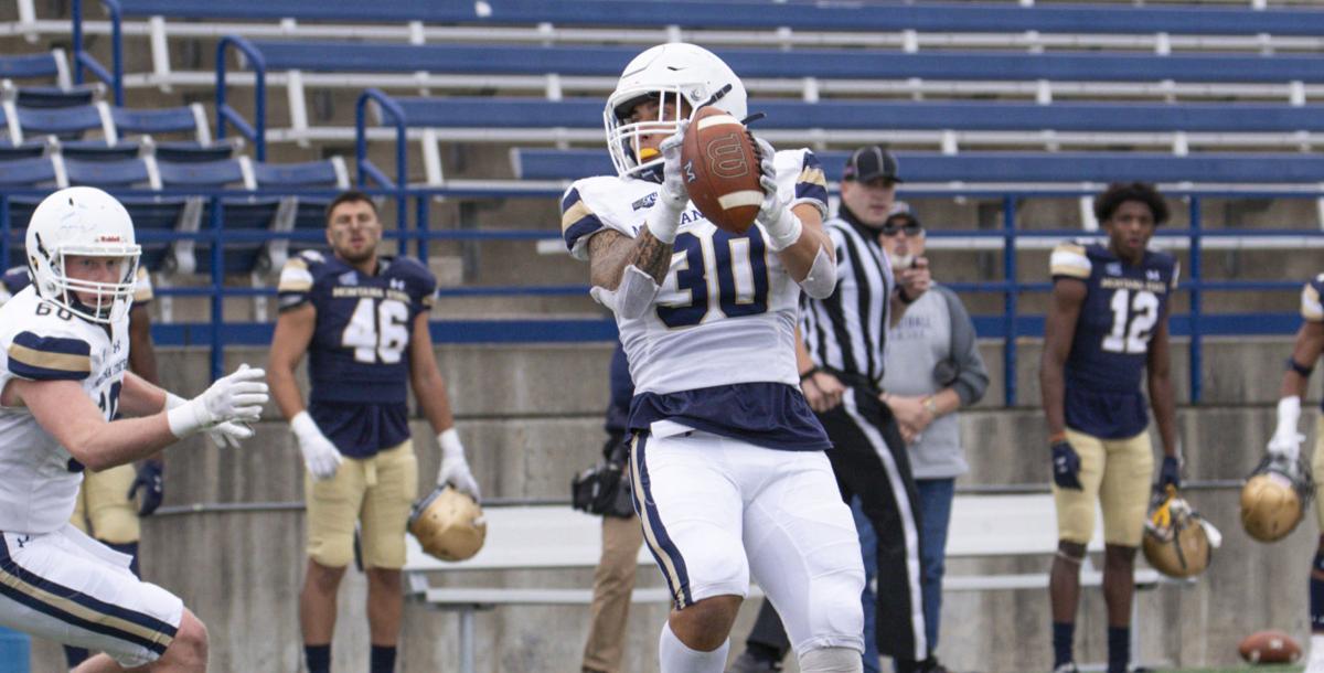Montana State football