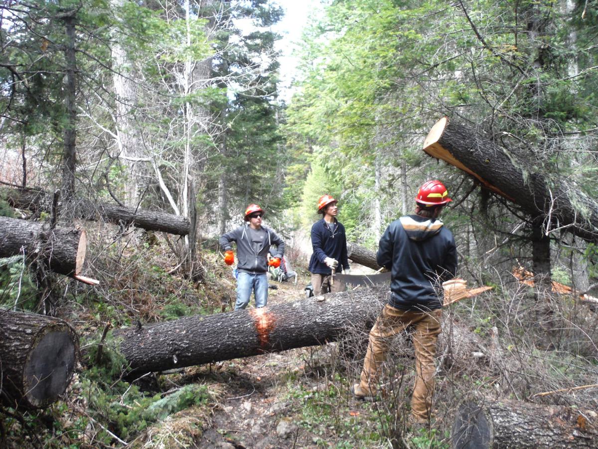 Wilderness Jobs In Bc