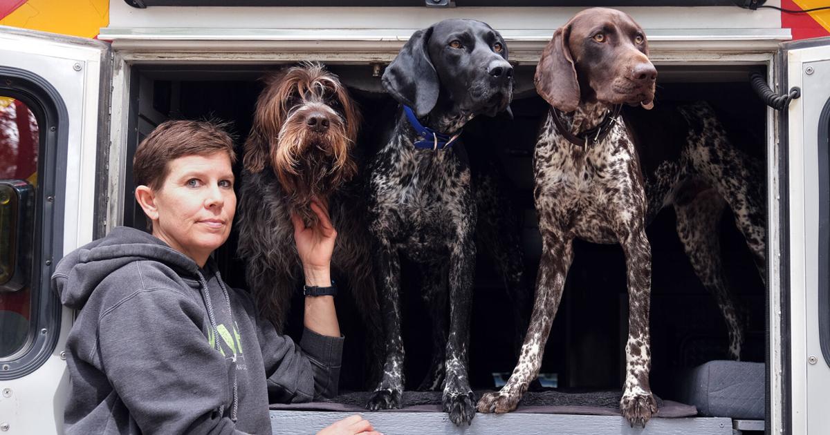 Stolen dreams: Bitterroot veterinarian reels after loss of prized dogs | Local News