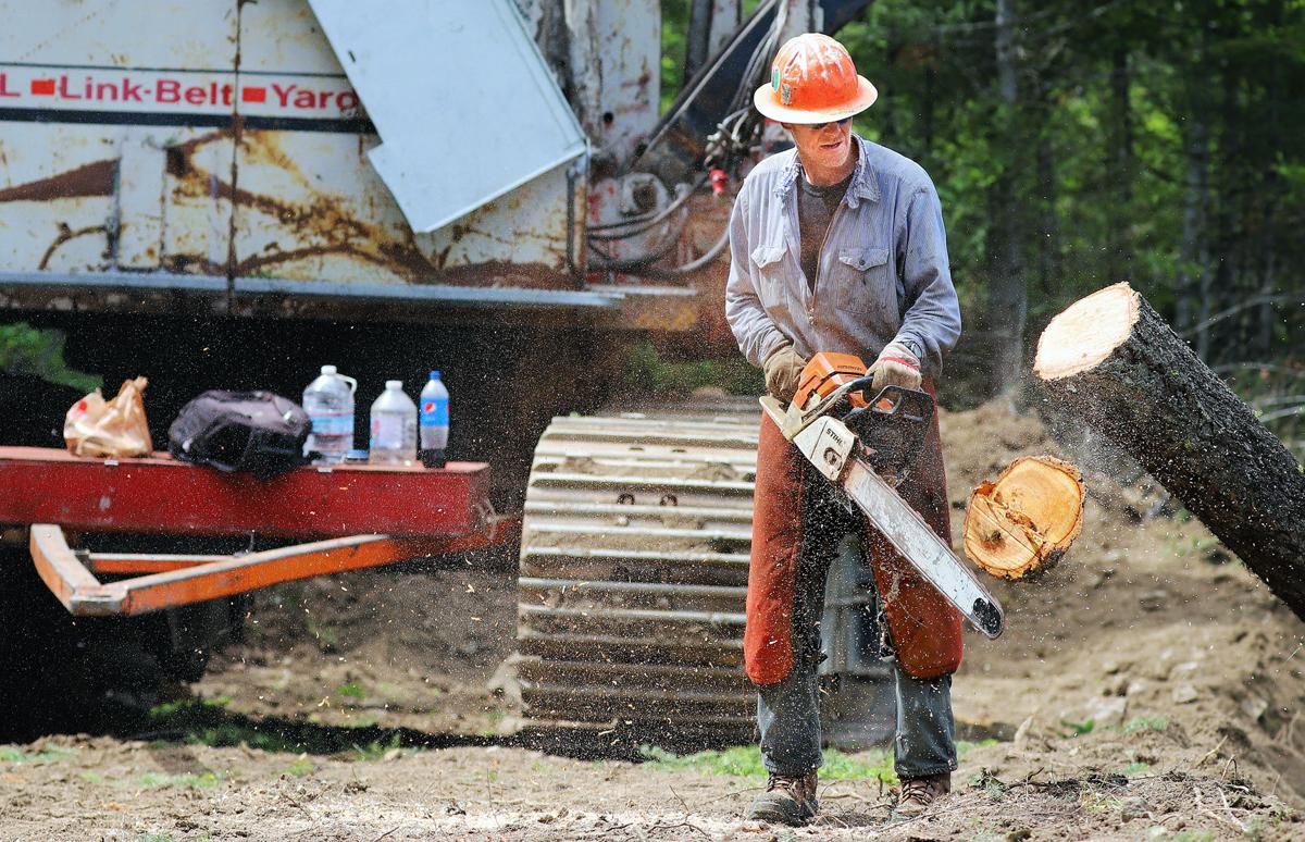 Logging Underway On Long Sought Fuels Reduction Project In Upper East Fork Local News Ravallirepublic Com