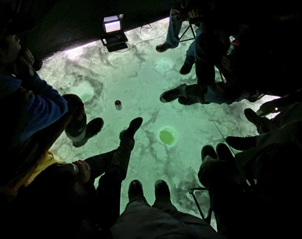 Fish TV