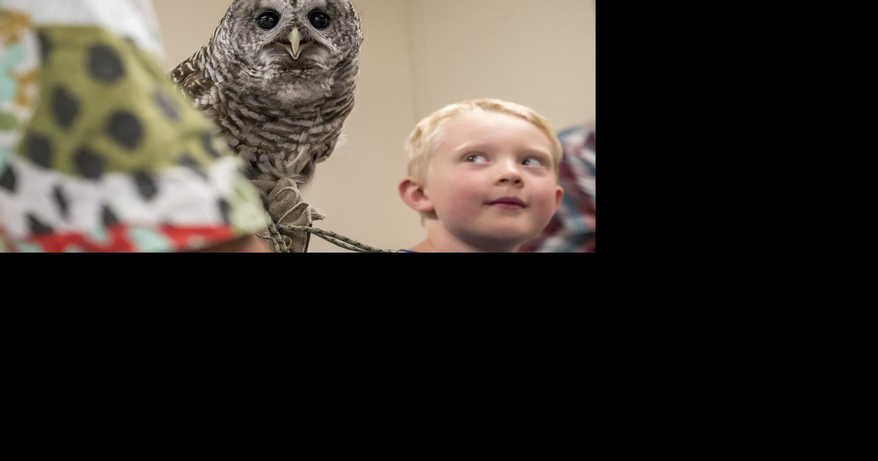 PHOTOS: Raptors of the Rockies presentation at Bitterroot Public Library