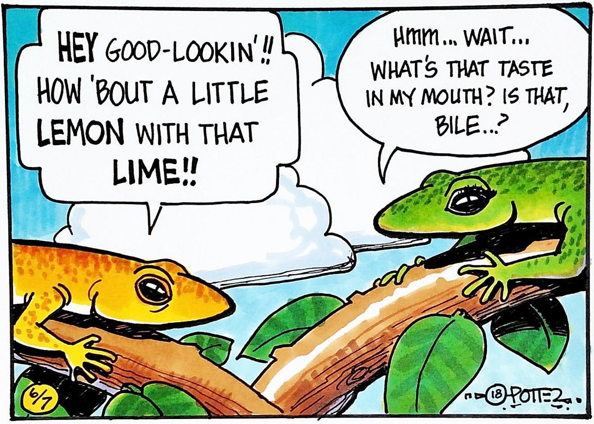 The mystery of lime-green lizard blood The mystery of lime-green lizard blood