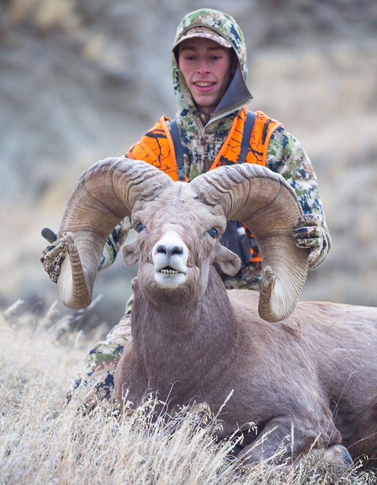 20yearold Montana hunter's Missouri River Breaks bighorn ram ties