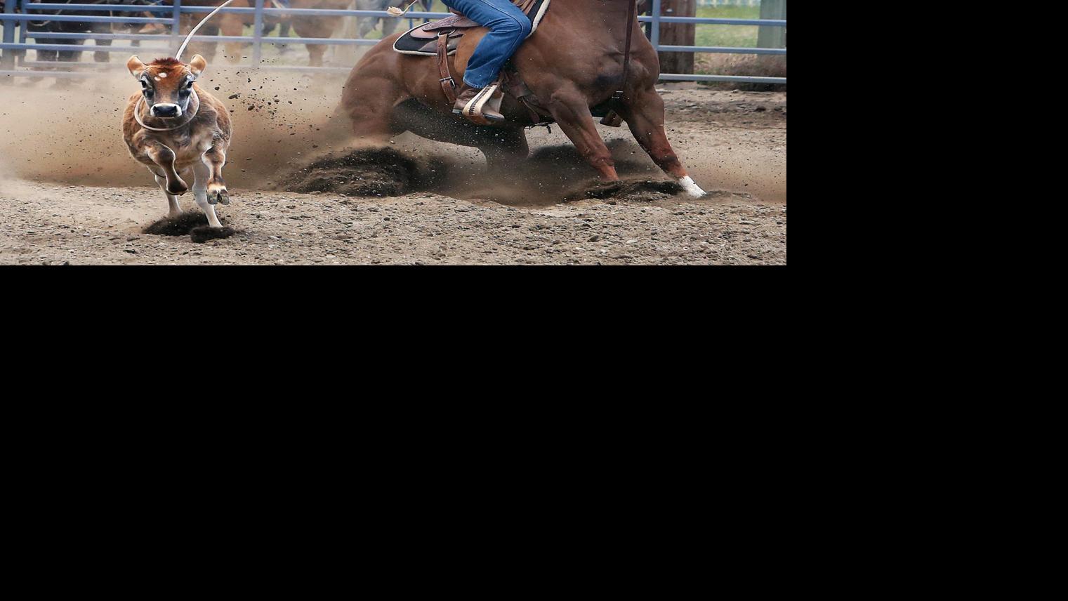 Senior Pro Rodeo rides into fairgrounds Local News