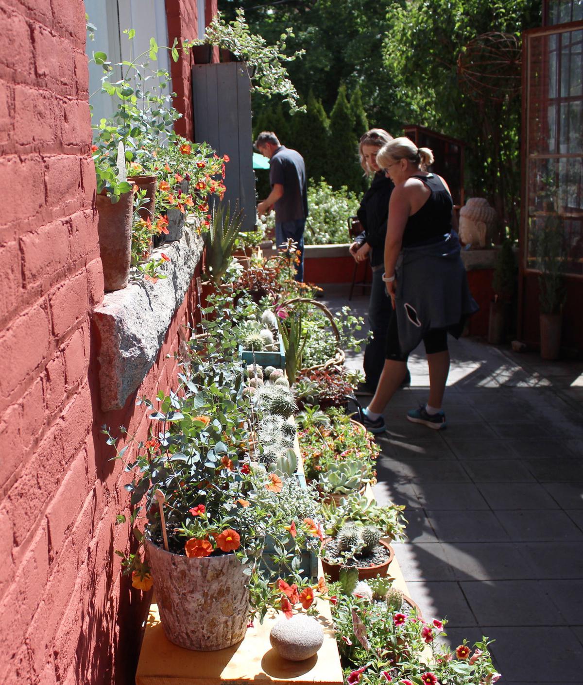 Tea House Garden opens for visitors in restored historic building