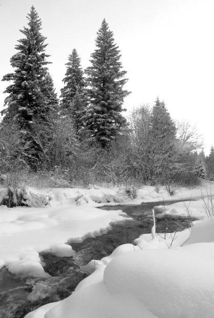 Winter Outing To Forest Cabin A Chilling Experience Outdoors