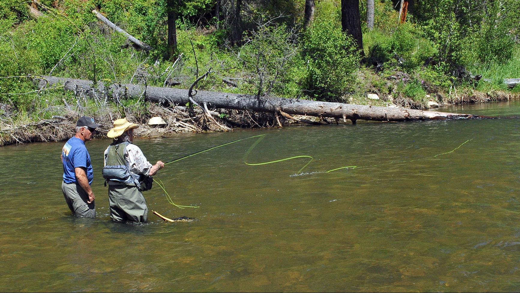 Conserving The West Fork New Organization Focuses On Ending Illegal Habitat Destruction Local News Ravallirepublic Com