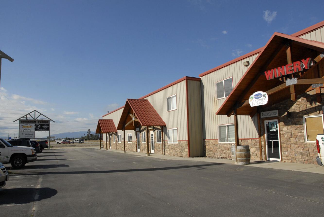 Gun shots fired into Victor businesses