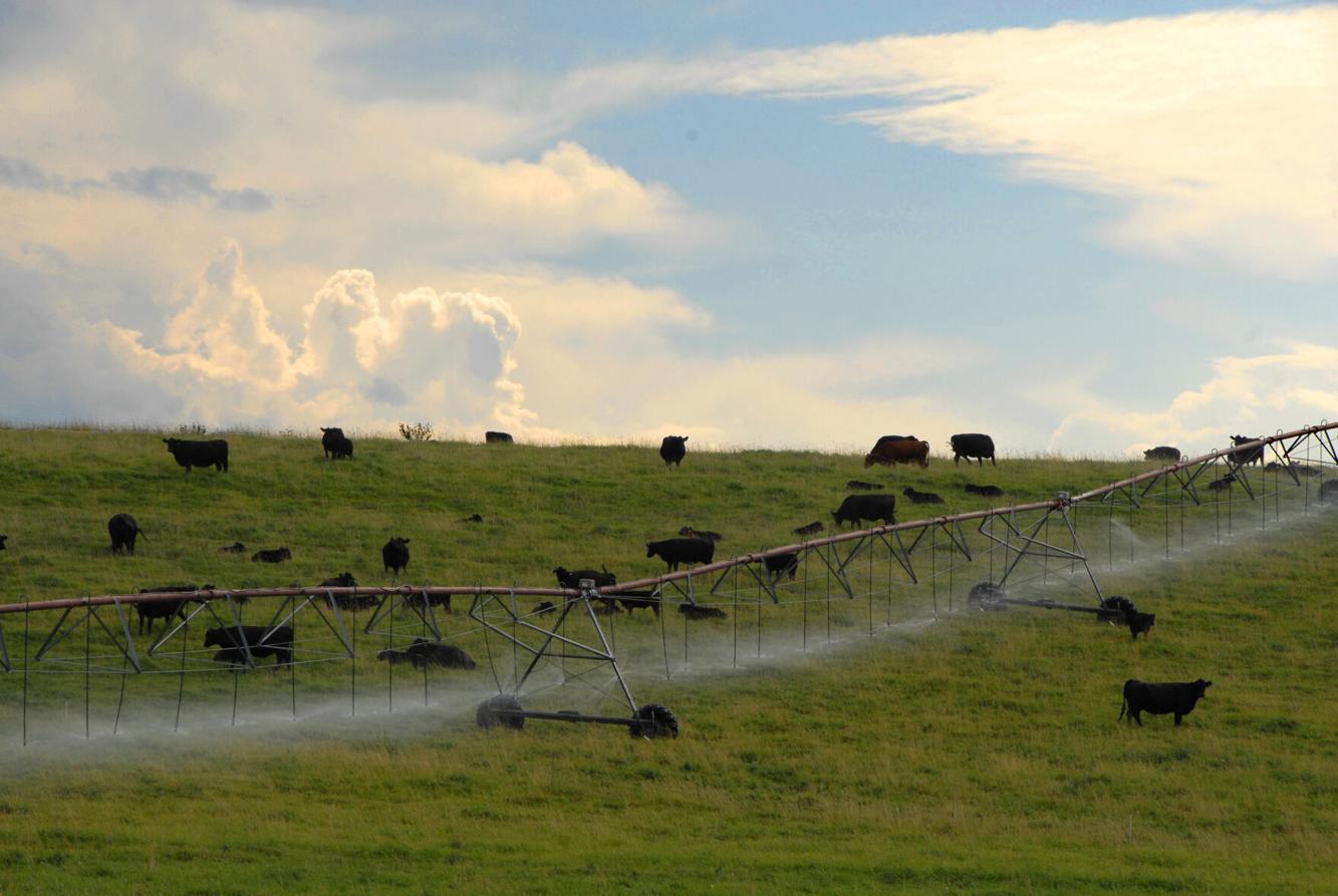 Keeping the dream 420acre Triple D Ranch preserved through