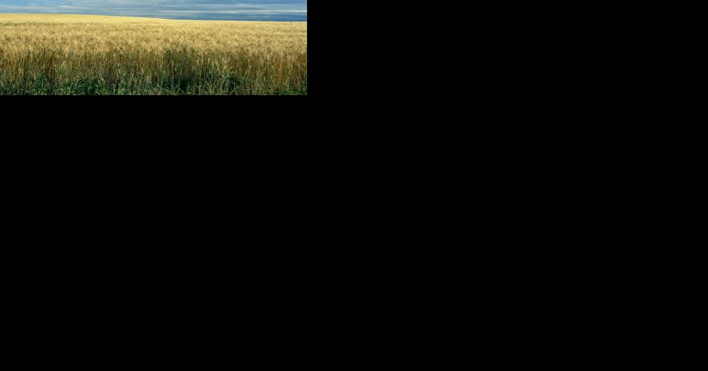 NRCS funding application deadline approaching - Vimarsana News