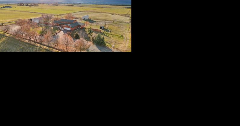 4 Bedroom Home in Stevensville - Vimarsana News