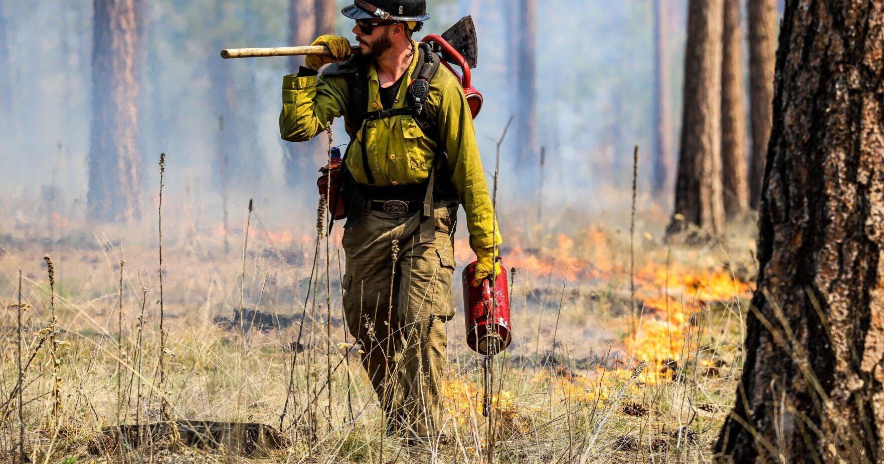 Burn planned at Threemile Wildlife Management Area - Vimarsana News