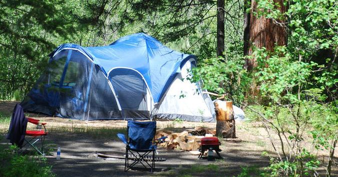 Fourth of July on the Bitterroot National Forest - Vimarsana News