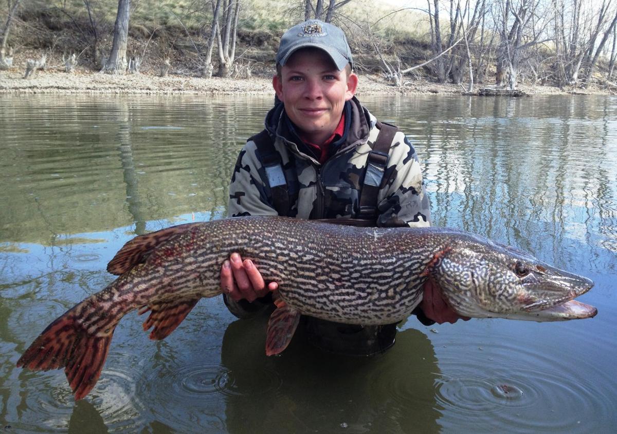 Angling for insight FWP annual report sheds light on Montana fisheries