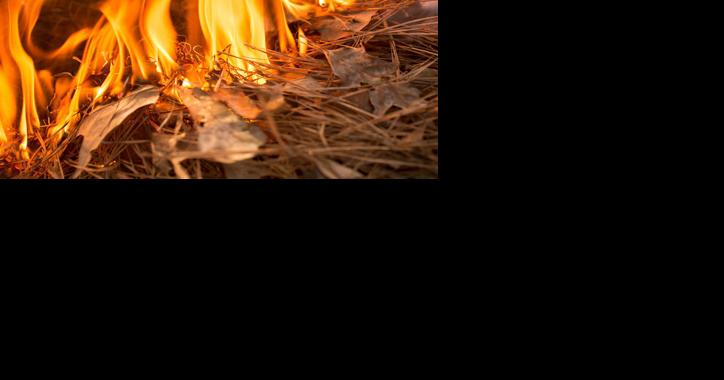 Outdoor burning closes in Ravalli County - Vimarsana News