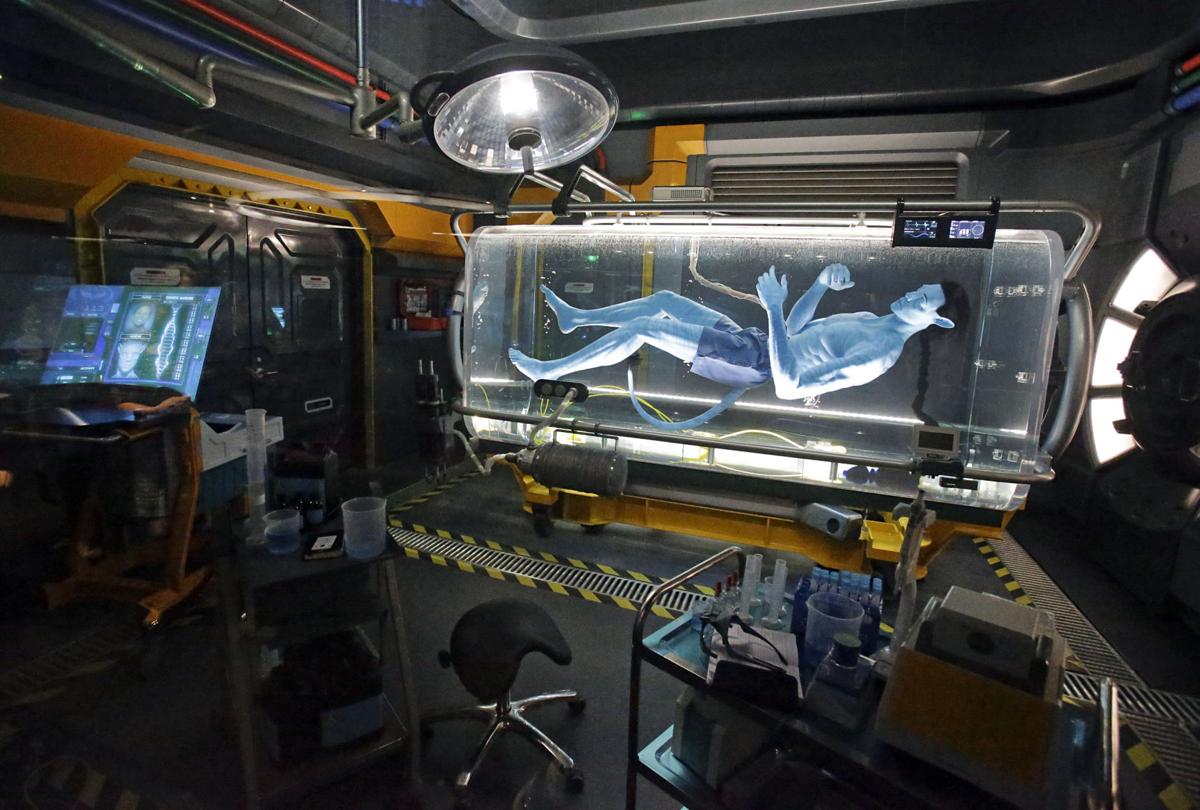 Photos A Look At Disney World S New Pandora World Of Avatar Land Travel Ravallirepublic Com