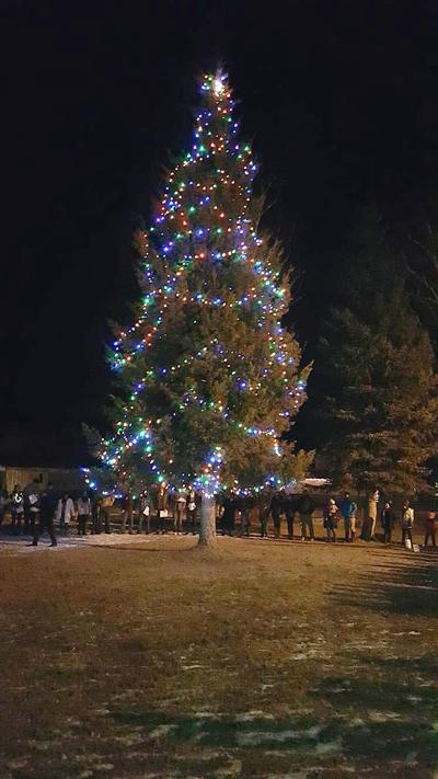 Corvallis Tree Lighting And Community Christmas Celebration Dec. 6 Corvallis Tree - Corvallis Tree Lighting And Community Christmas Celebration Dec. 6