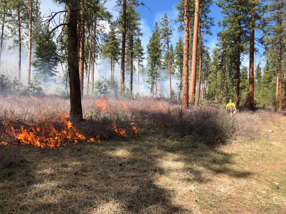 Prescribed burn completed at Bass Creek Recreation Area