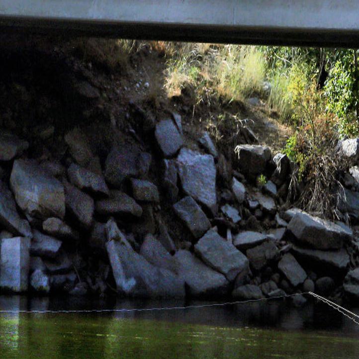 July Is Always A Great Month For A Variety Of Hatches On Bitterroot River Local News Ravallirepublic Com