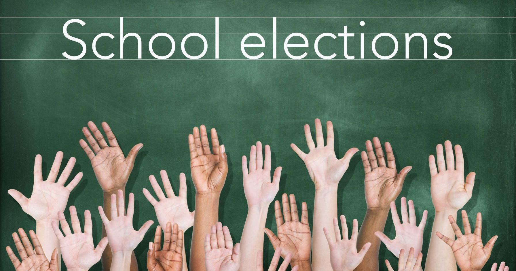 Hamilton School trustee candidate Q&A: Patrick Hanley - Vimarsana News