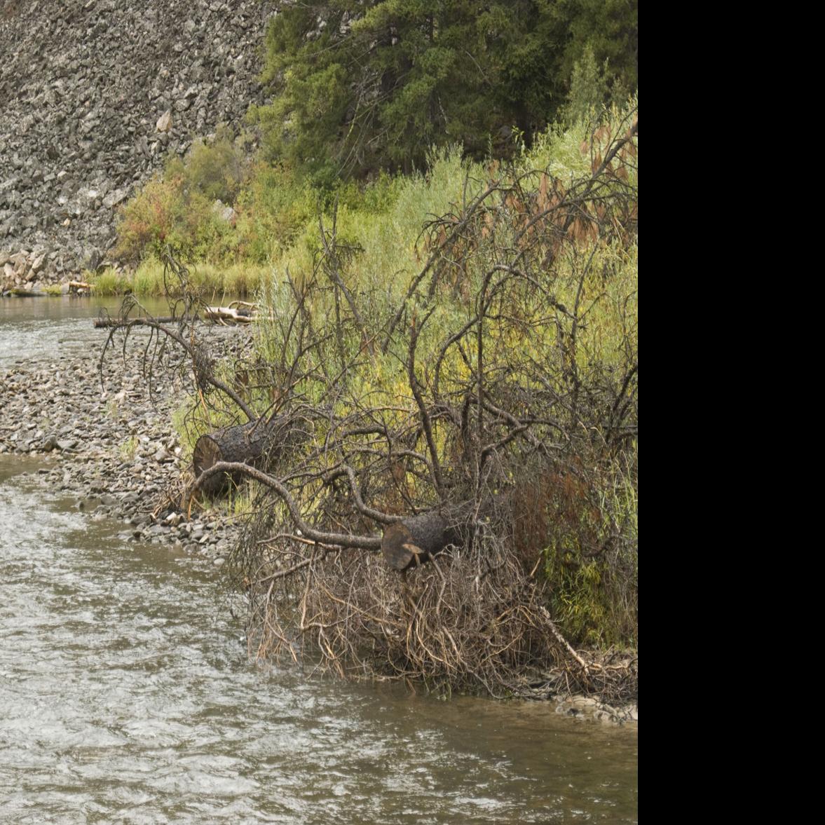 Hamilton Fly Shop Owner Proposes A Different Type Of Regulation On West Fork Local News Ravallirepublic Com