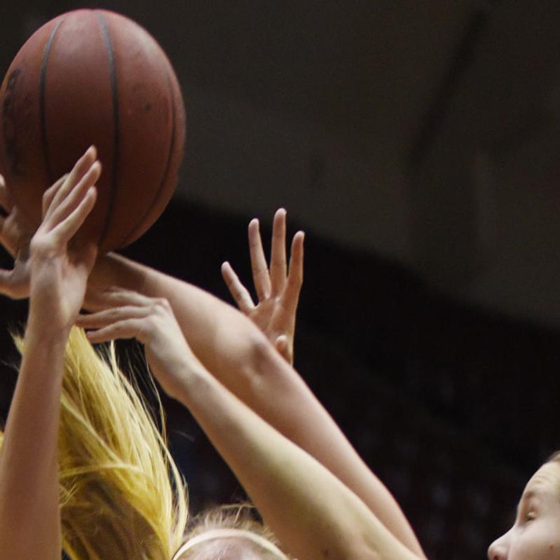High Scoring Lehigh To Test Lady Griz College Sports