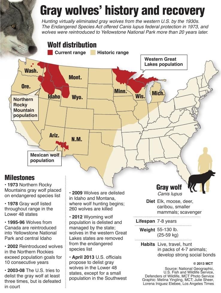 gray wolf habitat map