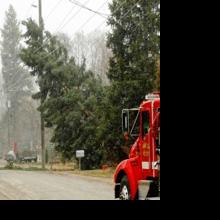 Feature photo: Strong winds down trees, power lines