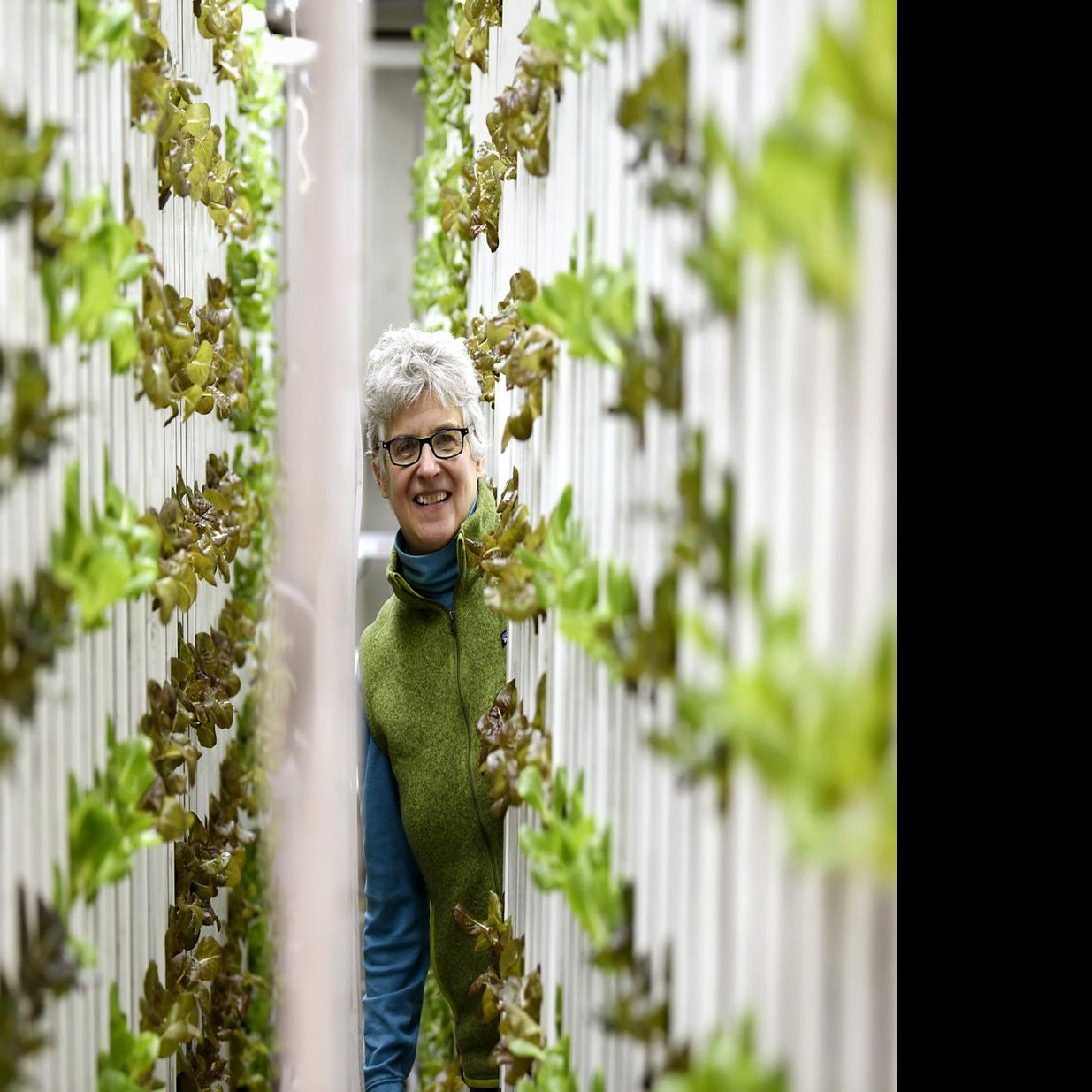 Space Age Farm Montana Chef Grows Hydroponic Greens In Upcycled