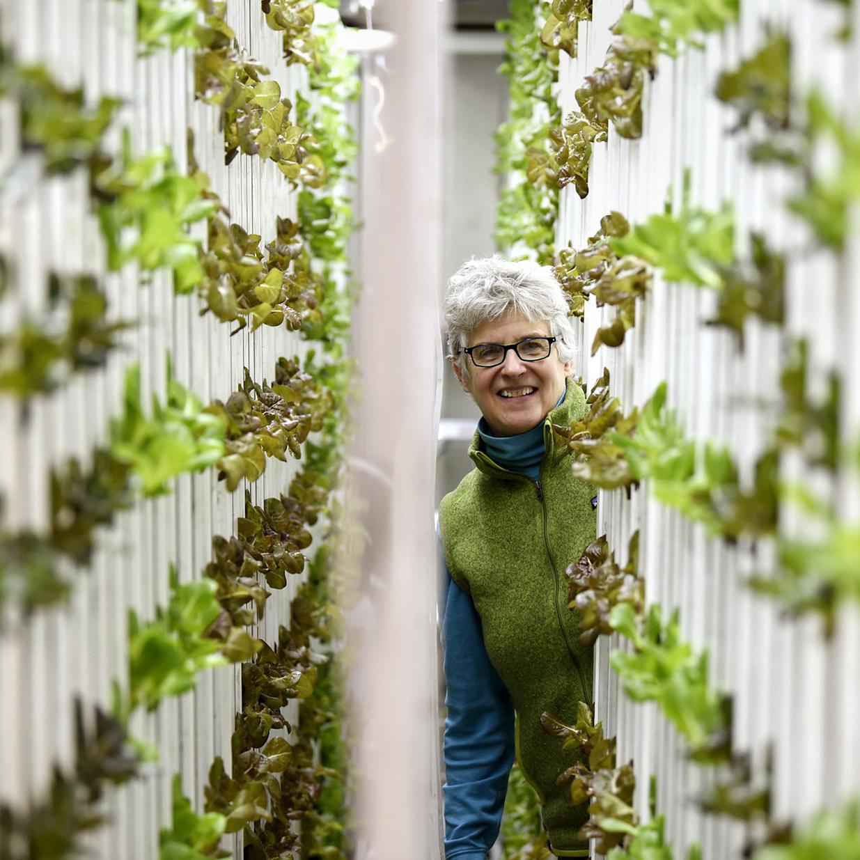Space Age Farm Montana Chef Grows Hydroponic Greens In Upcycled