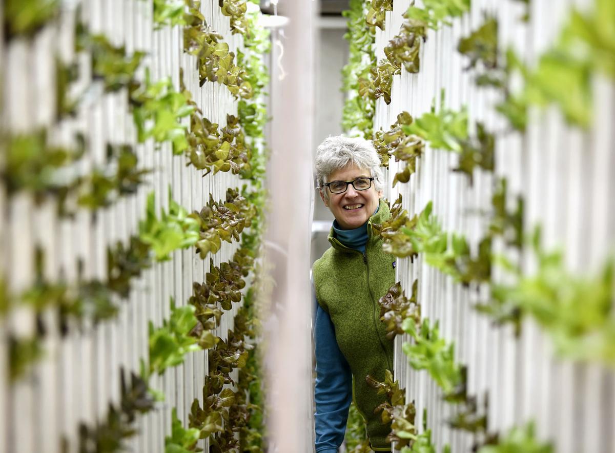 Space Age Farm Montana Chef Grows Hydroponic Greens In Upcycled