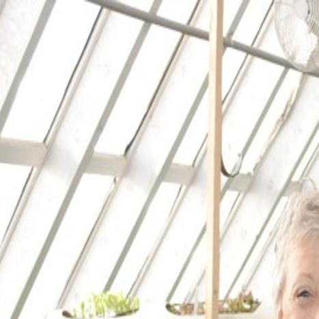 Winter Garden Couple Builds Greenhouse Designed For Growing