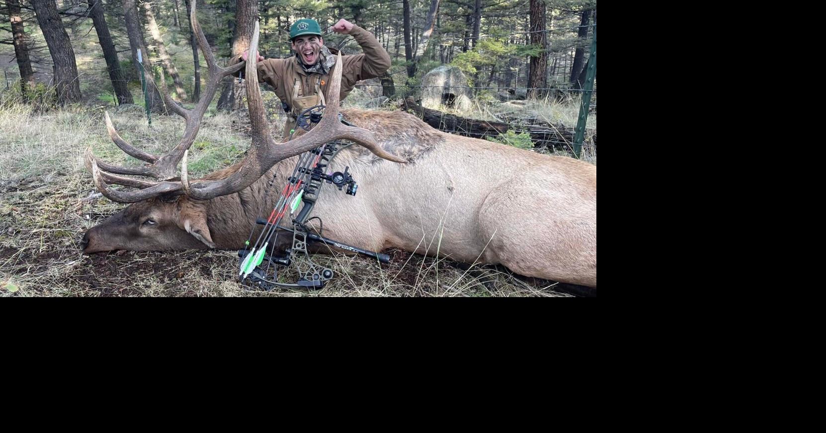Four Montana men hit with 33 charges after poaching trophy bull elk and deer