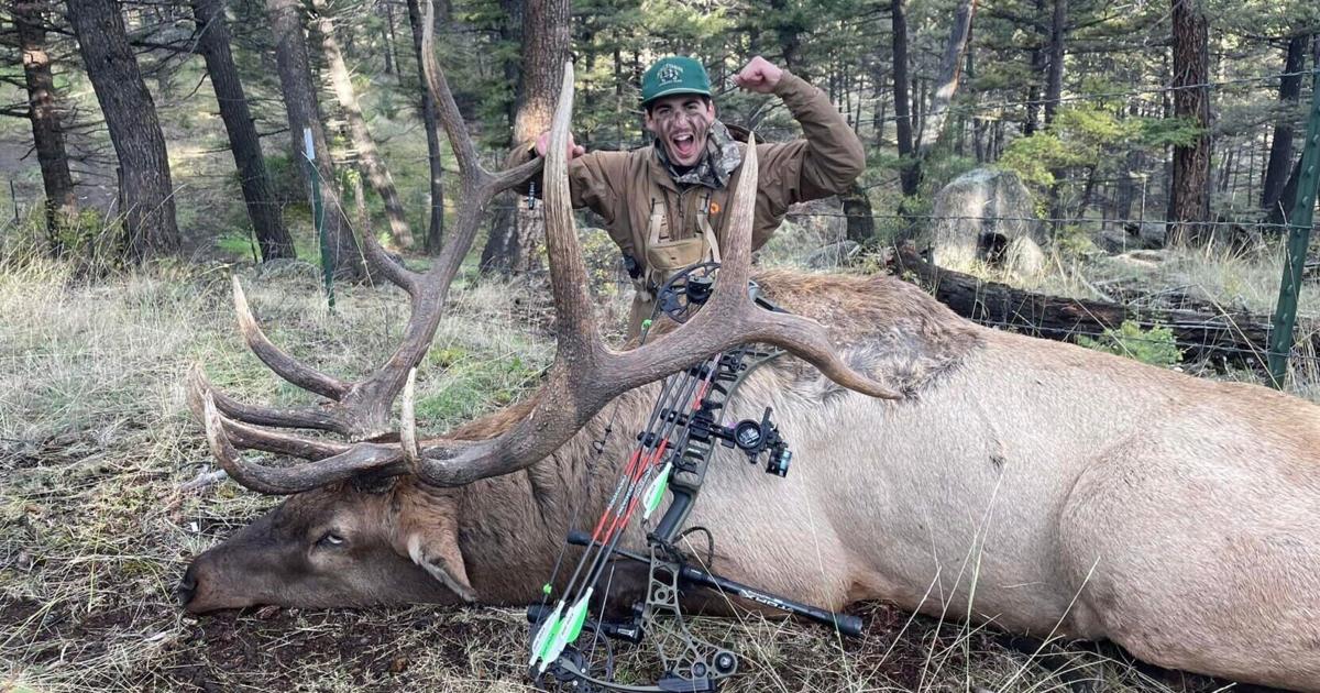 Four Montana men hit with 33 charges after poaching trophy bull elk and deer