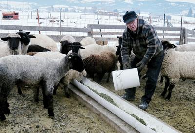 Gary Leese teaches the details of raising and marketing sheep and goats
