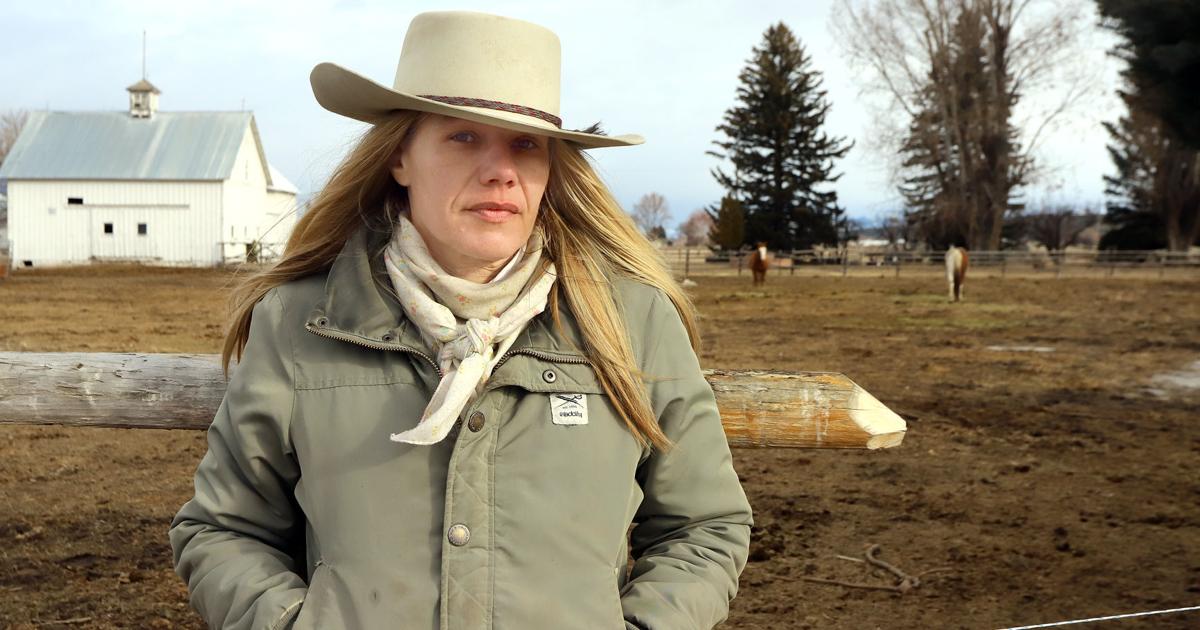 Mule died from blunt force injury, not gunshot