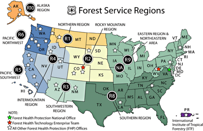 Forest Service: Forest Service Region 5