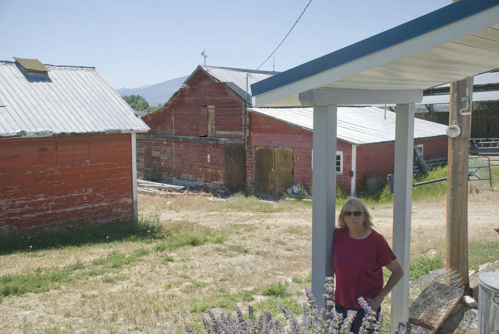 Colleen Hoover: The world's bestselling author hails from a ranch in Texas, EPS