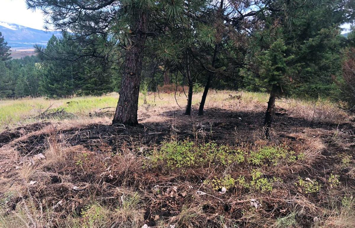 Wildfires have been kept small on Bitterroot Forest