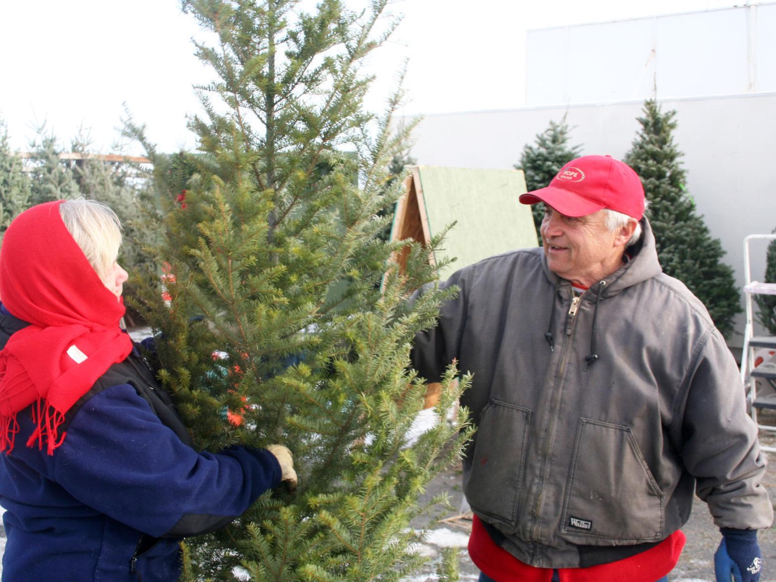 Christmas Trees Lots Cater To Those Not Up For Cutting Their Own Local News Ravallirepublic Com Christmas Tree Permits 2021 Corvallis Oregon