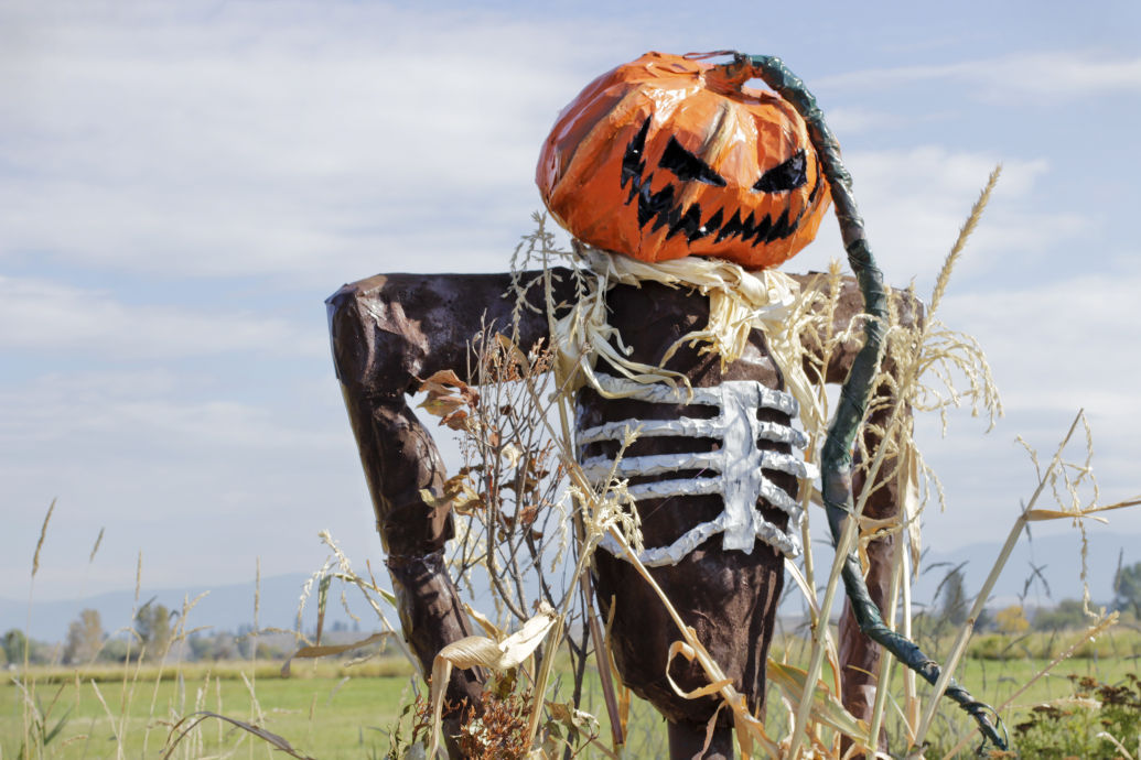 Stevensville Scarecrow Festival has record number of entries News