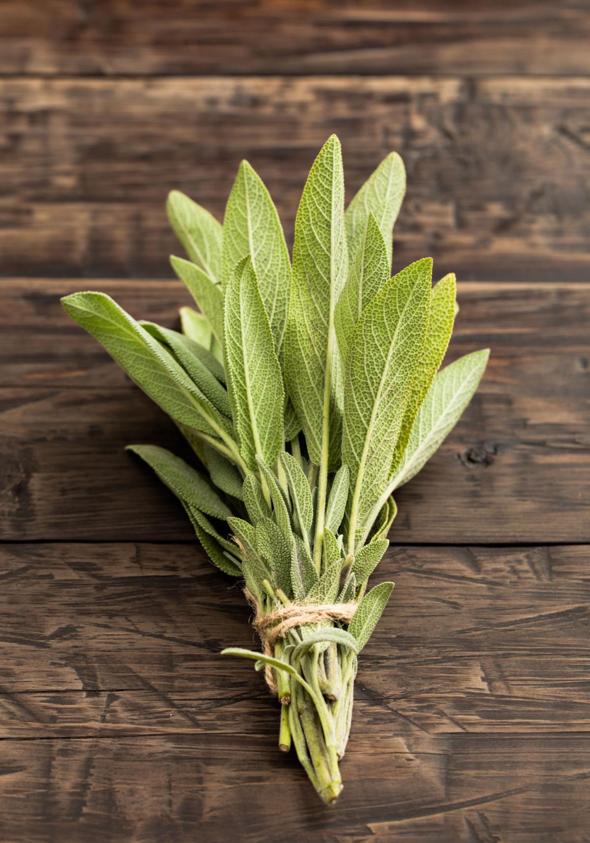 Sage how to