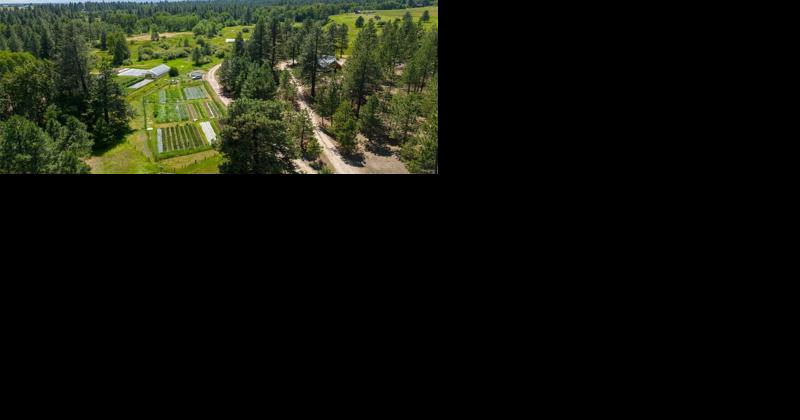 Newly listed homes for sale in the Hamilton area - Vimarsana News